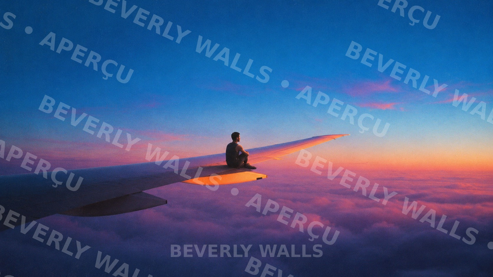 Above the Clouds - aperçu protégé Beverly Walls