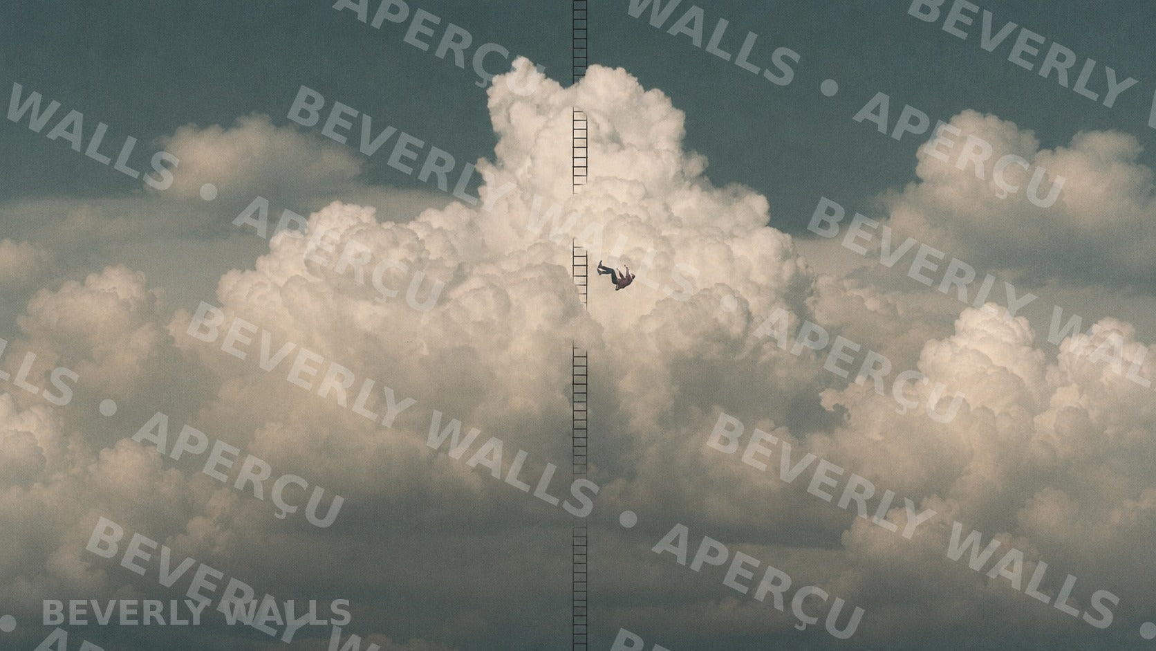 Keep Climbing - aperçu protégé Beverly Walls